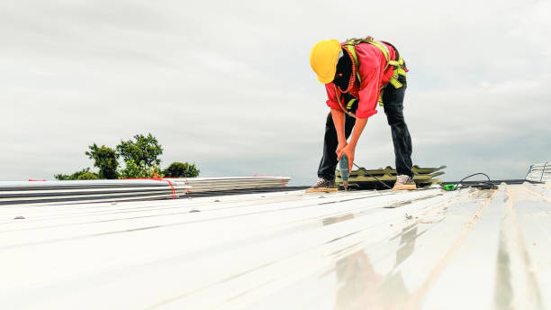 Best Roof Maintenance and Cleaning  in Church Hill, TN